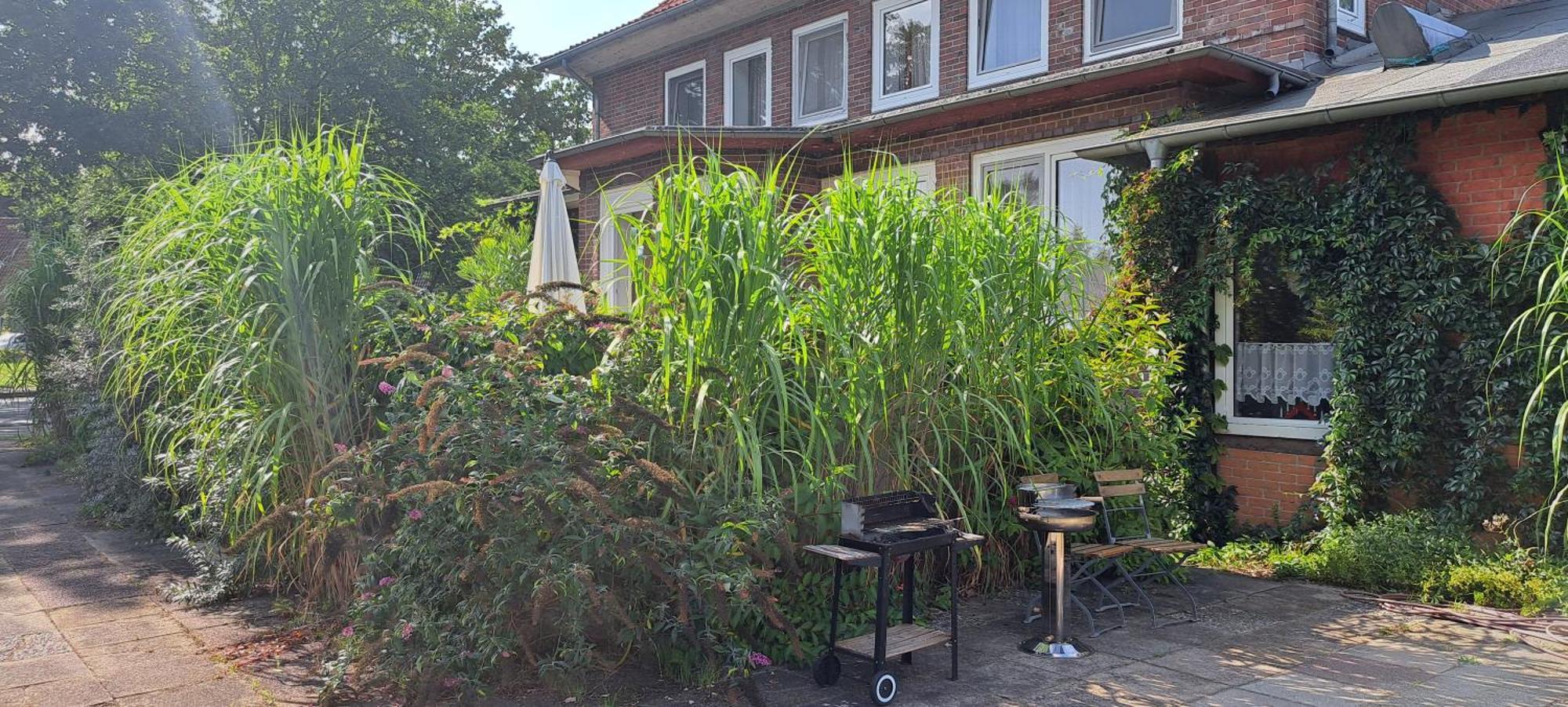 Schillers Landhaus Neu Darchau Bagian luar foto