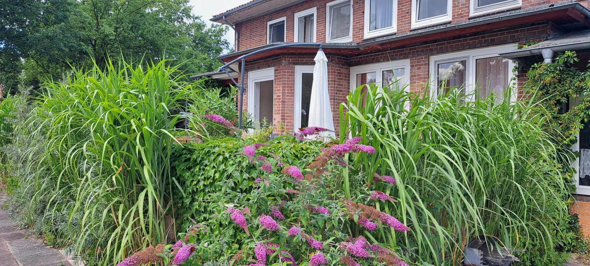 Schillers Landhaus Neu Darchau Bagian luar foto